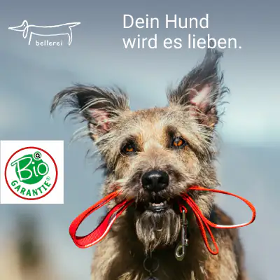 bellerei - Liebevolles Hundezubehör